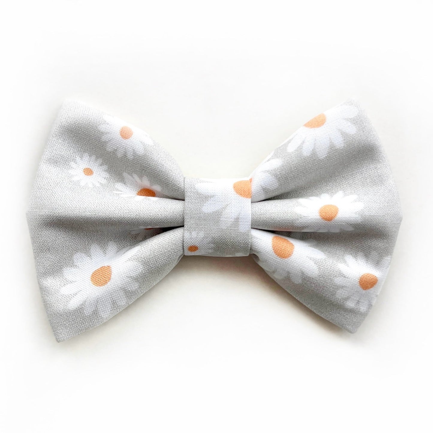 CHAMOMILE // bow