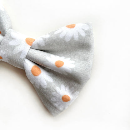 CHAMOMILE // bow