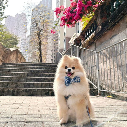 INDIGO EKO // bow