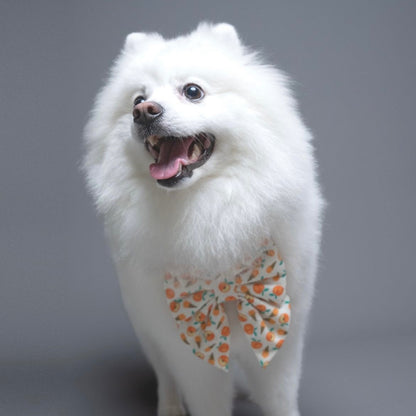PEACHY CONE // bow