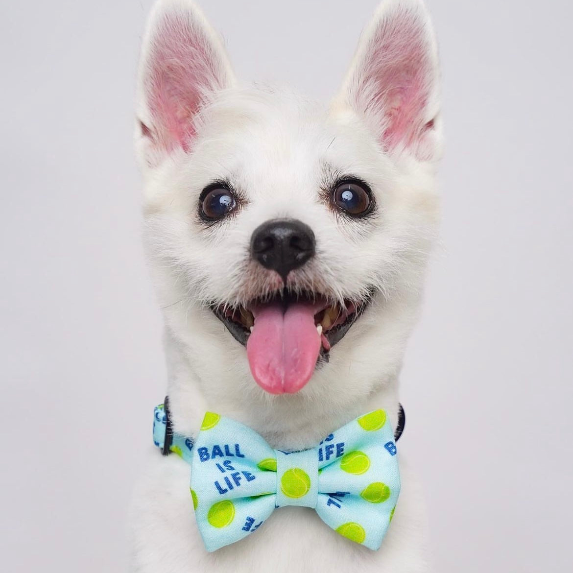 BALL IS LIFE // collar