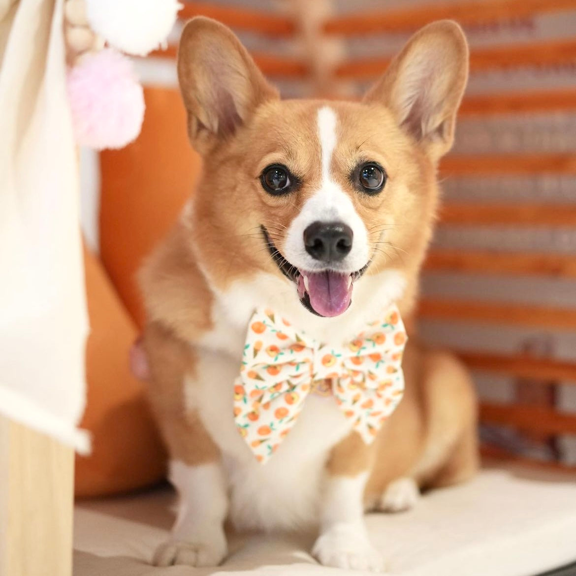 PEACHY CONE // bow