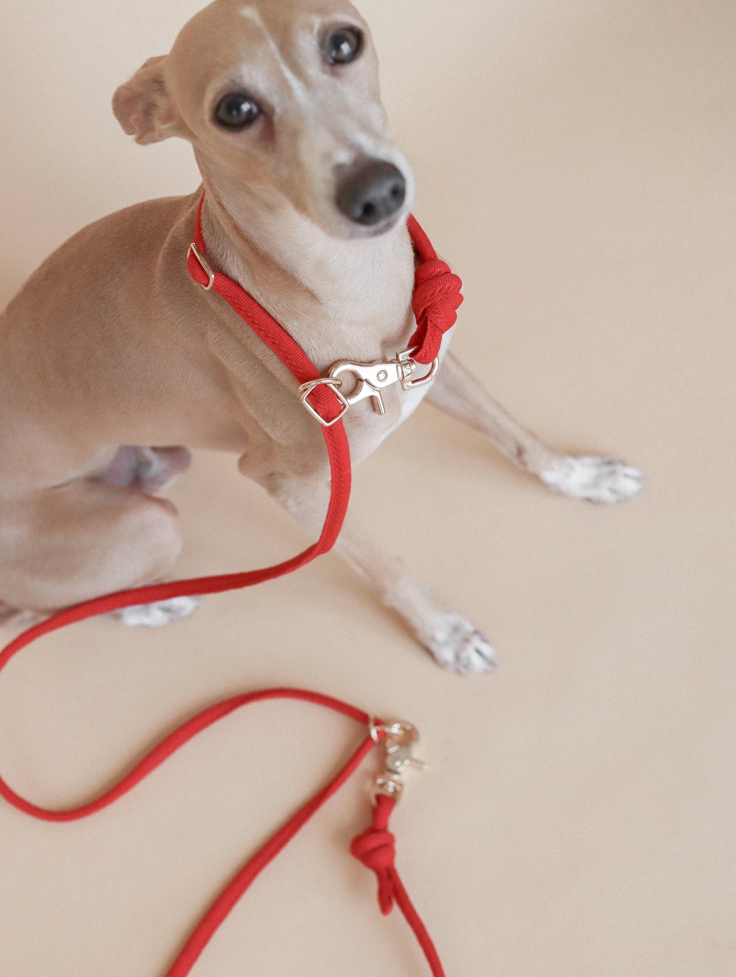 LINJE // crossbody leash
