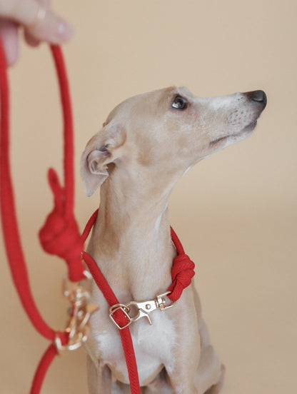 LINJE // crossbody leash