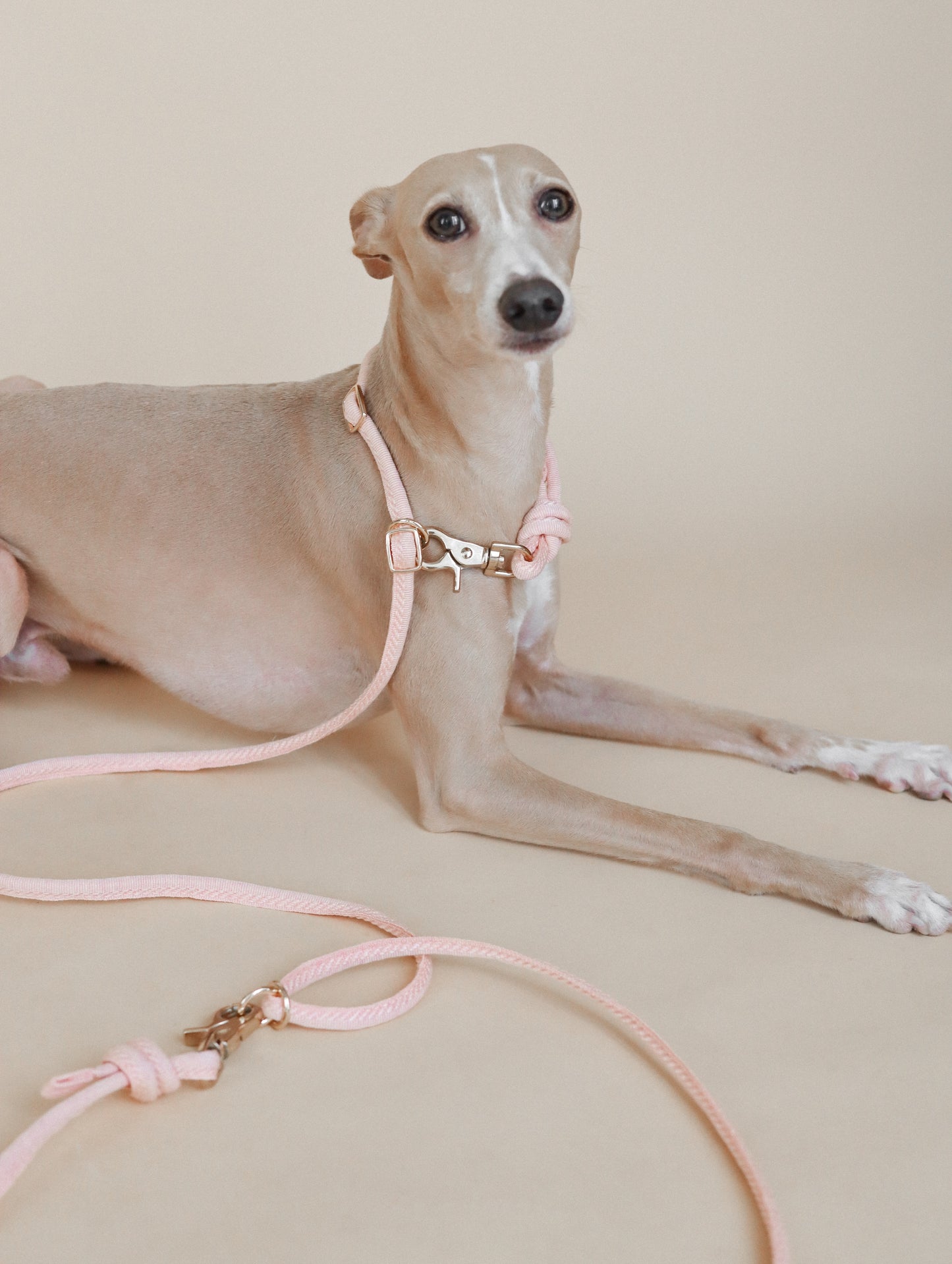 LINJE // crossbody leash