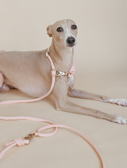 LINJE // crossbody leash