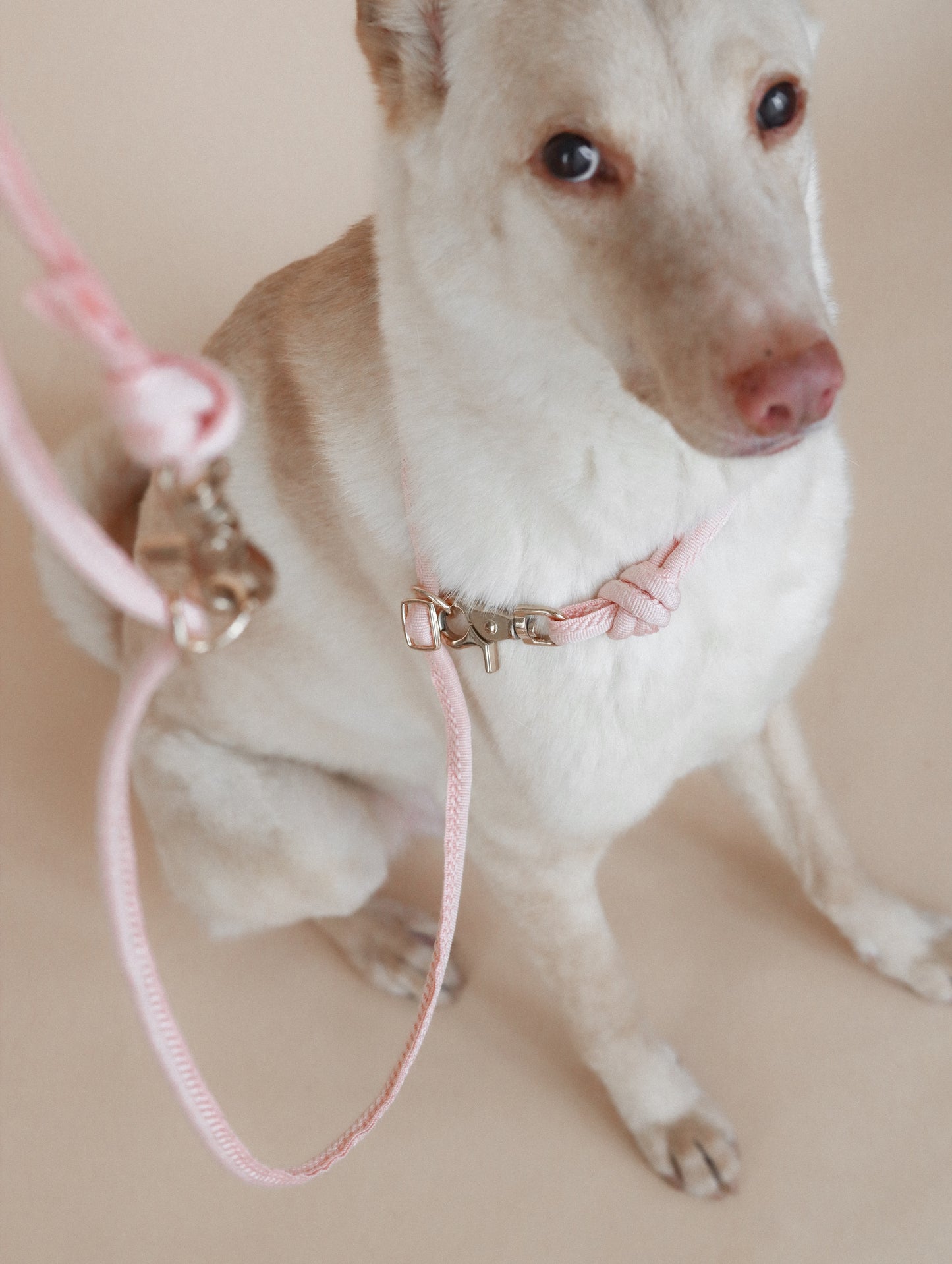 LINJE // crossbody leash