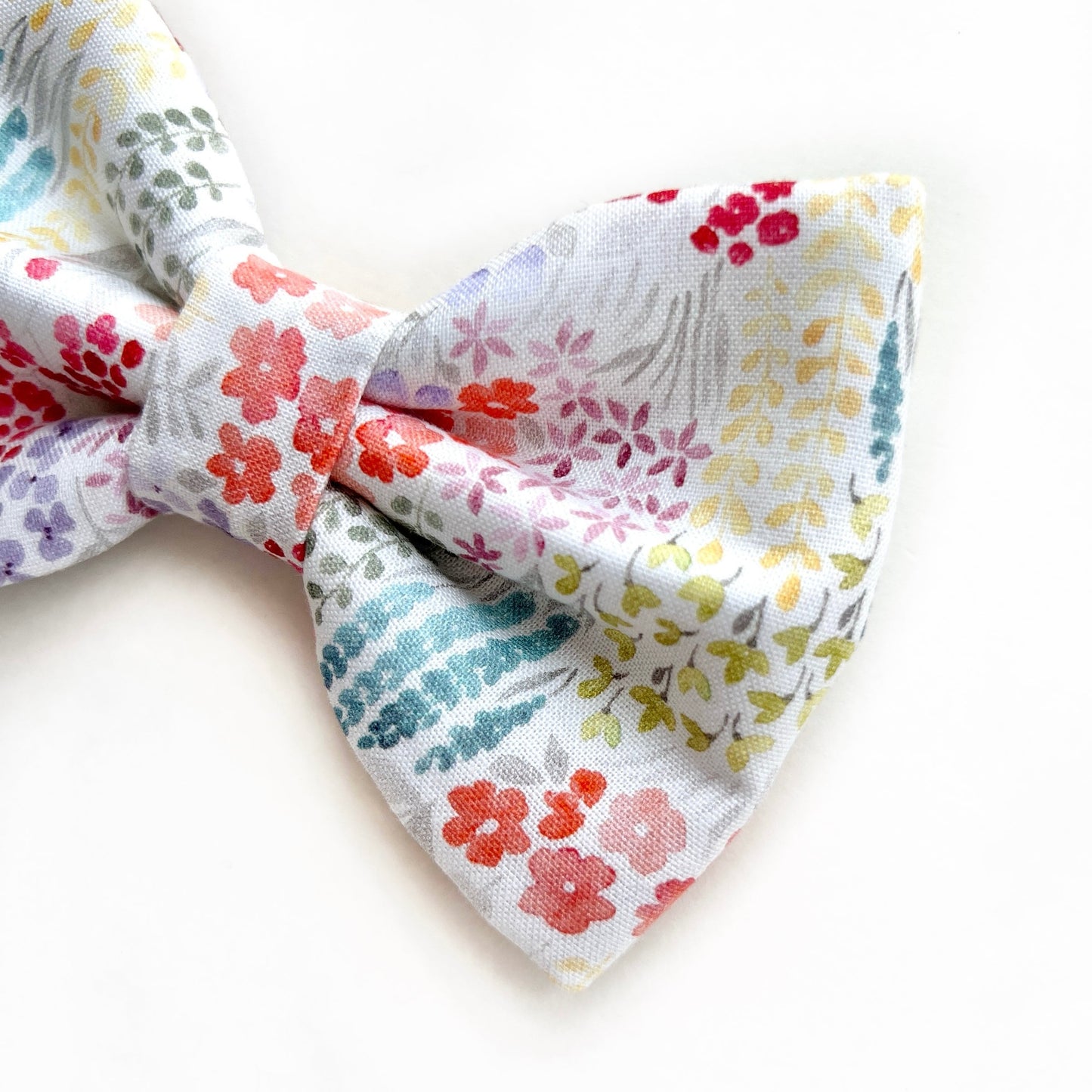 PASTEL KKOCH // bow