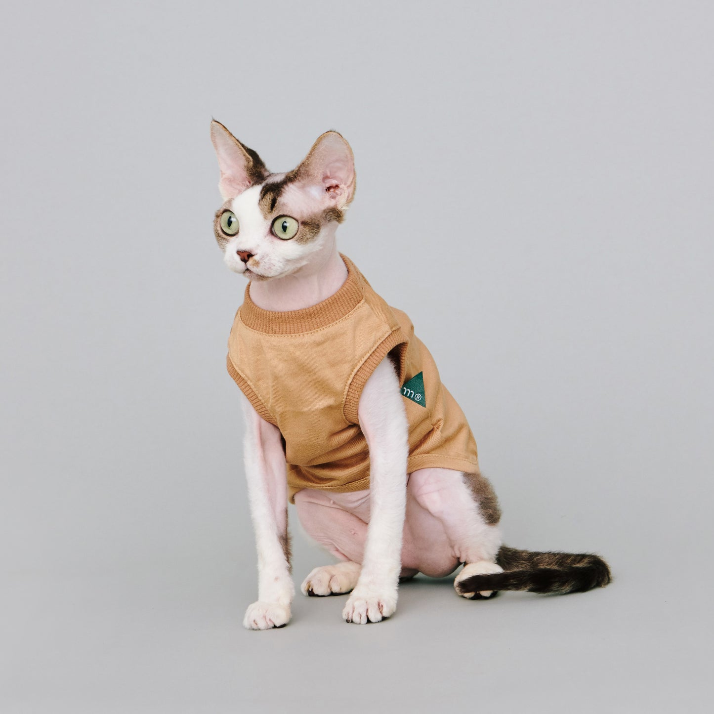 BASICS // vest