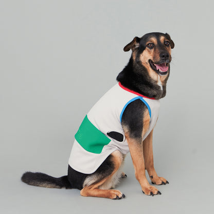 ASTEROID // cooling vest