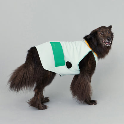 ASTEROID // cooling vest