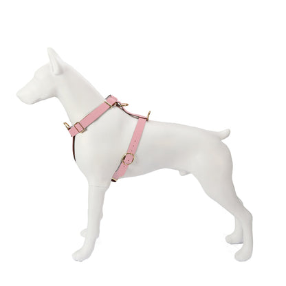 Handcrafted Leather Harness