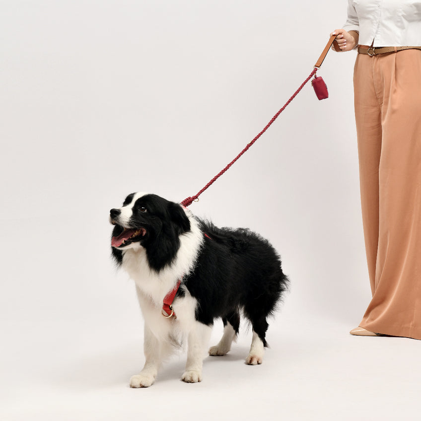 Handcrafted Leather Leash