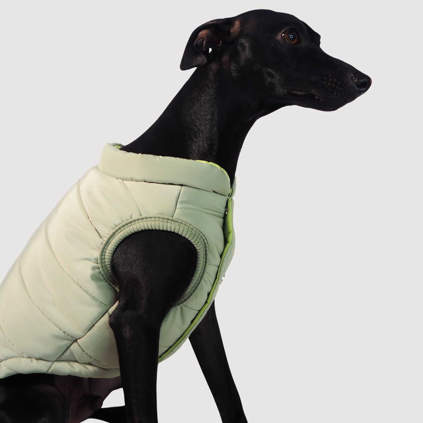 EXPLORER // puffer vest