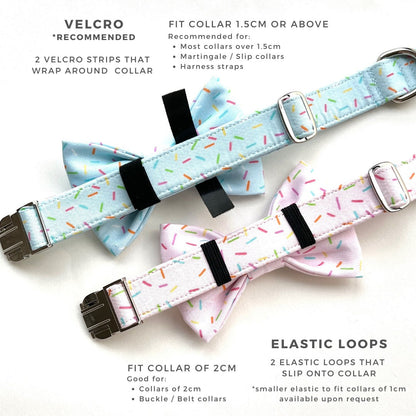 RAINBOW WAVES // bow