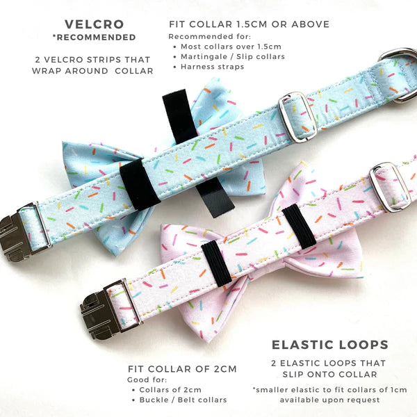 CLEMATIS NOIR // bow