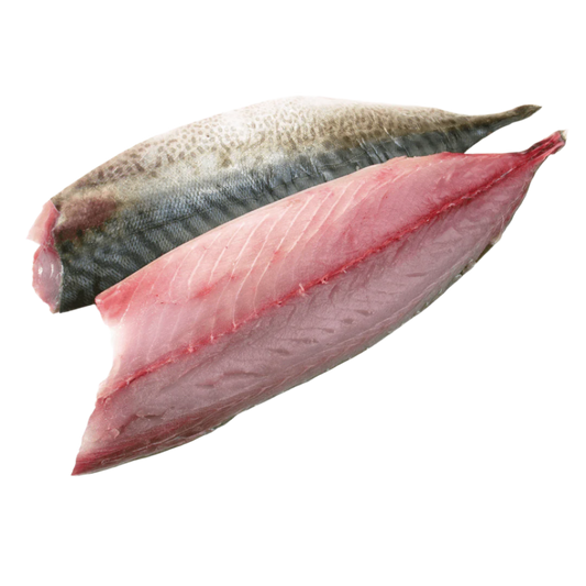 Mackerel (Per g) // RAW