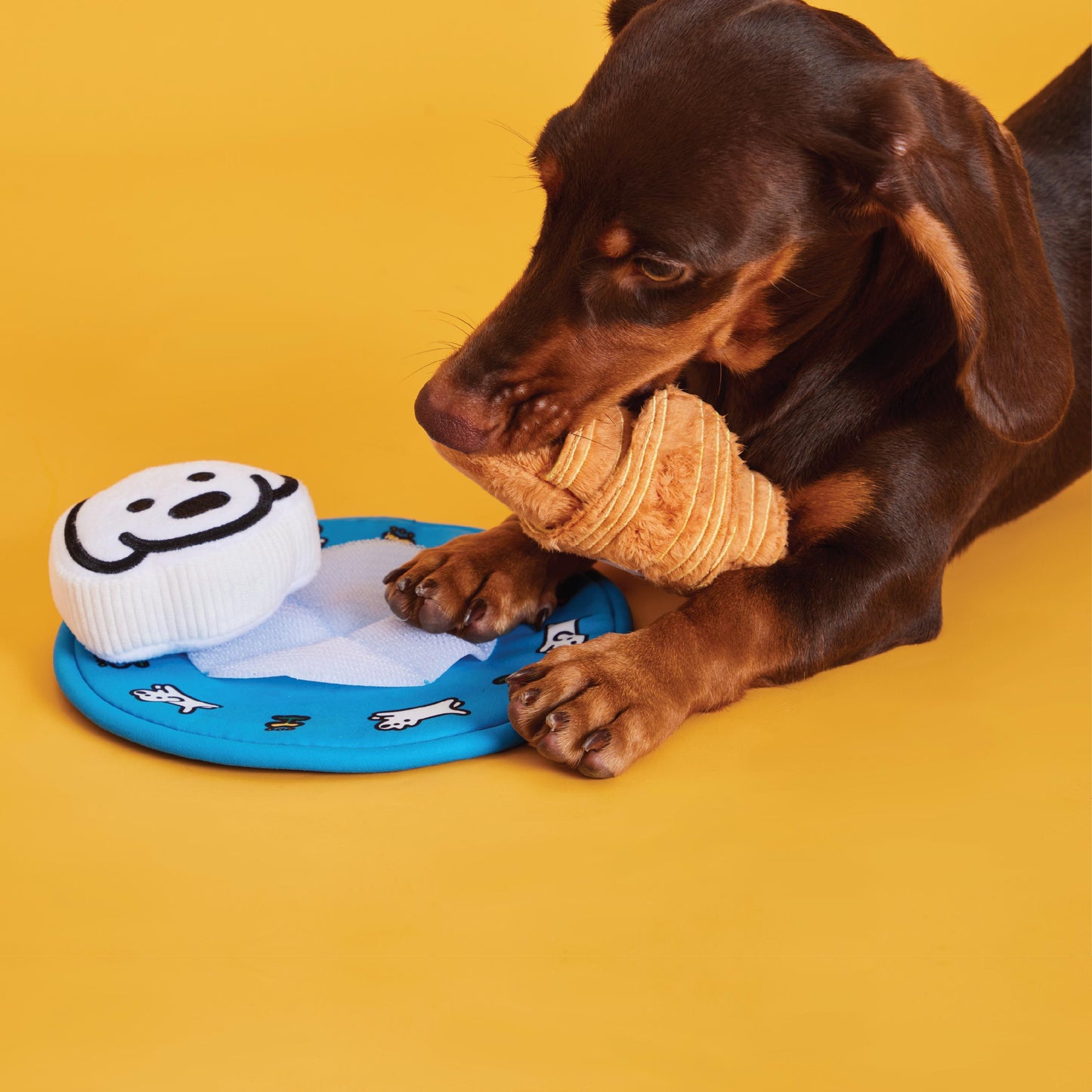 MATSUI DOGS BLIND BOX // nosework toy