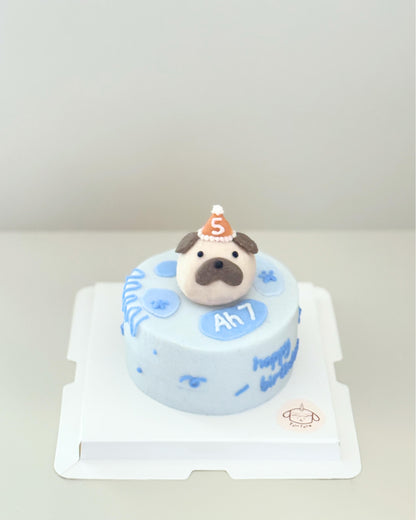 ROUND CAKE WITH BUBBLE HEAD // pet cake