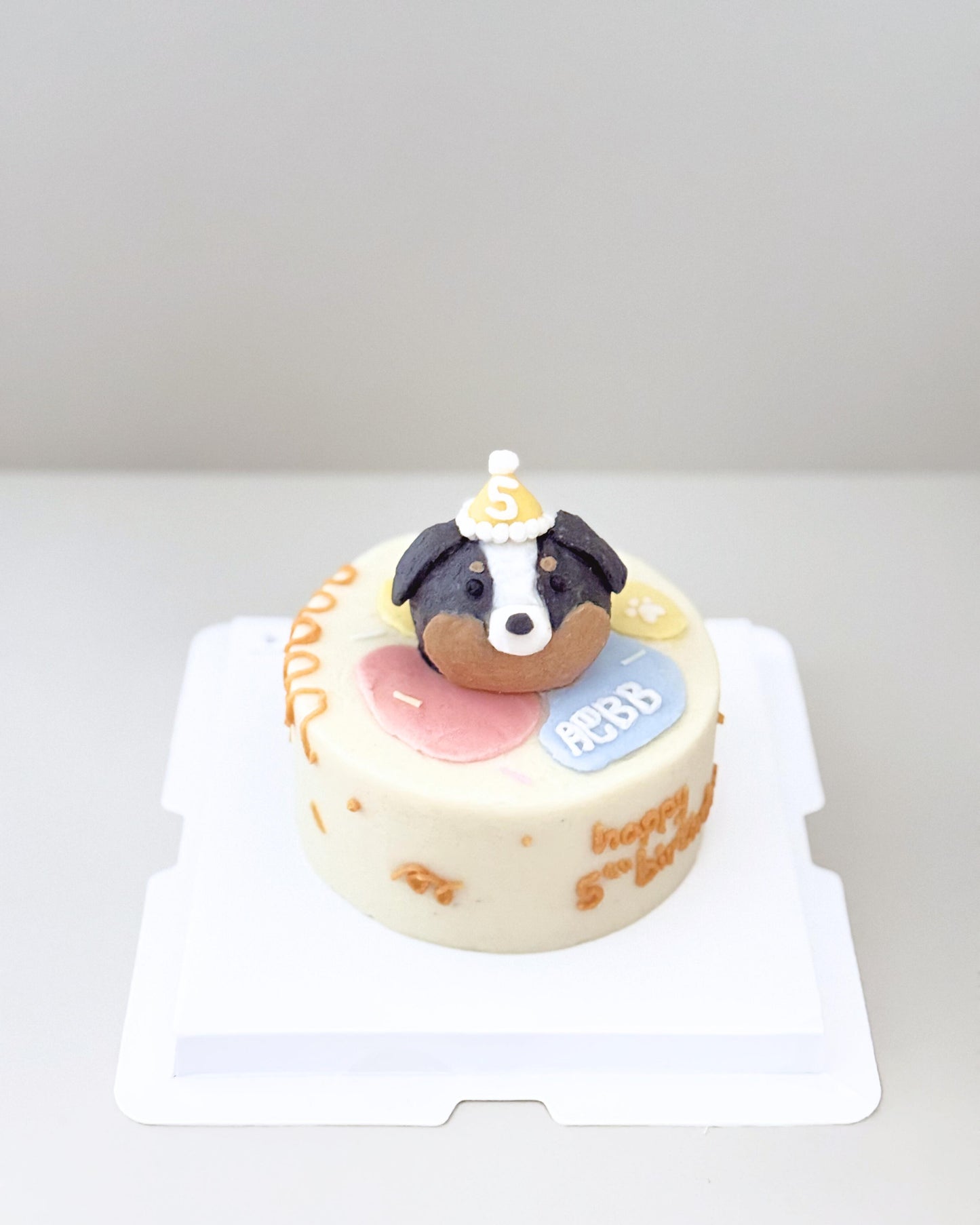 ROUND CAKE WITH BUBBLE HEAD // pet cake