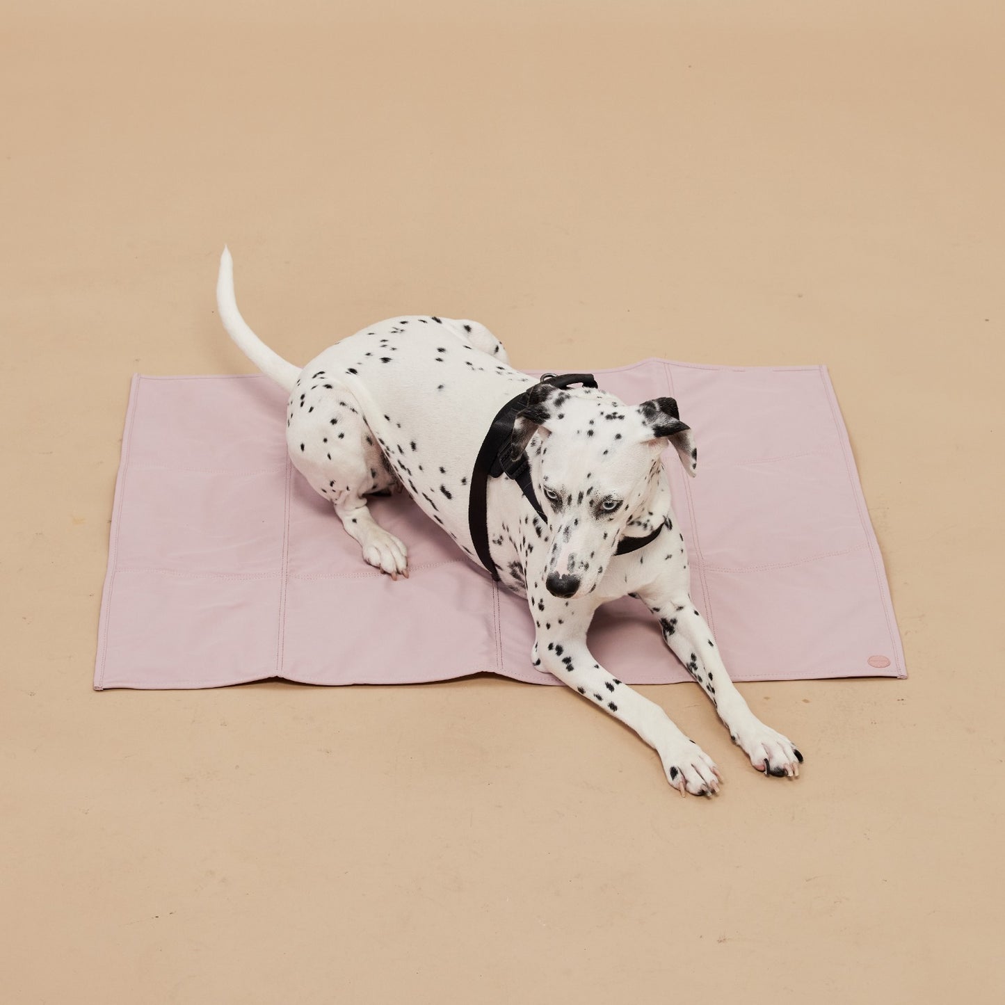 Jouir Travel Mat