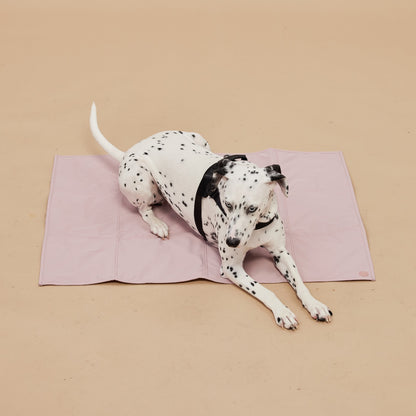 Jouir Travel Mat