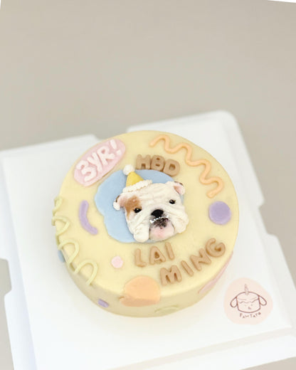 2D ILLUSTRATED CAKE // pet cake