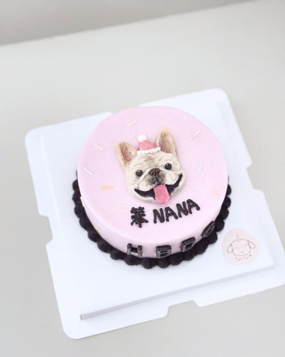 2D ILLUSTRATED CAKE // pet cake