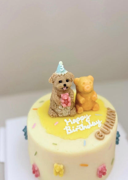 3D FULL BODY CAKE // pet cake