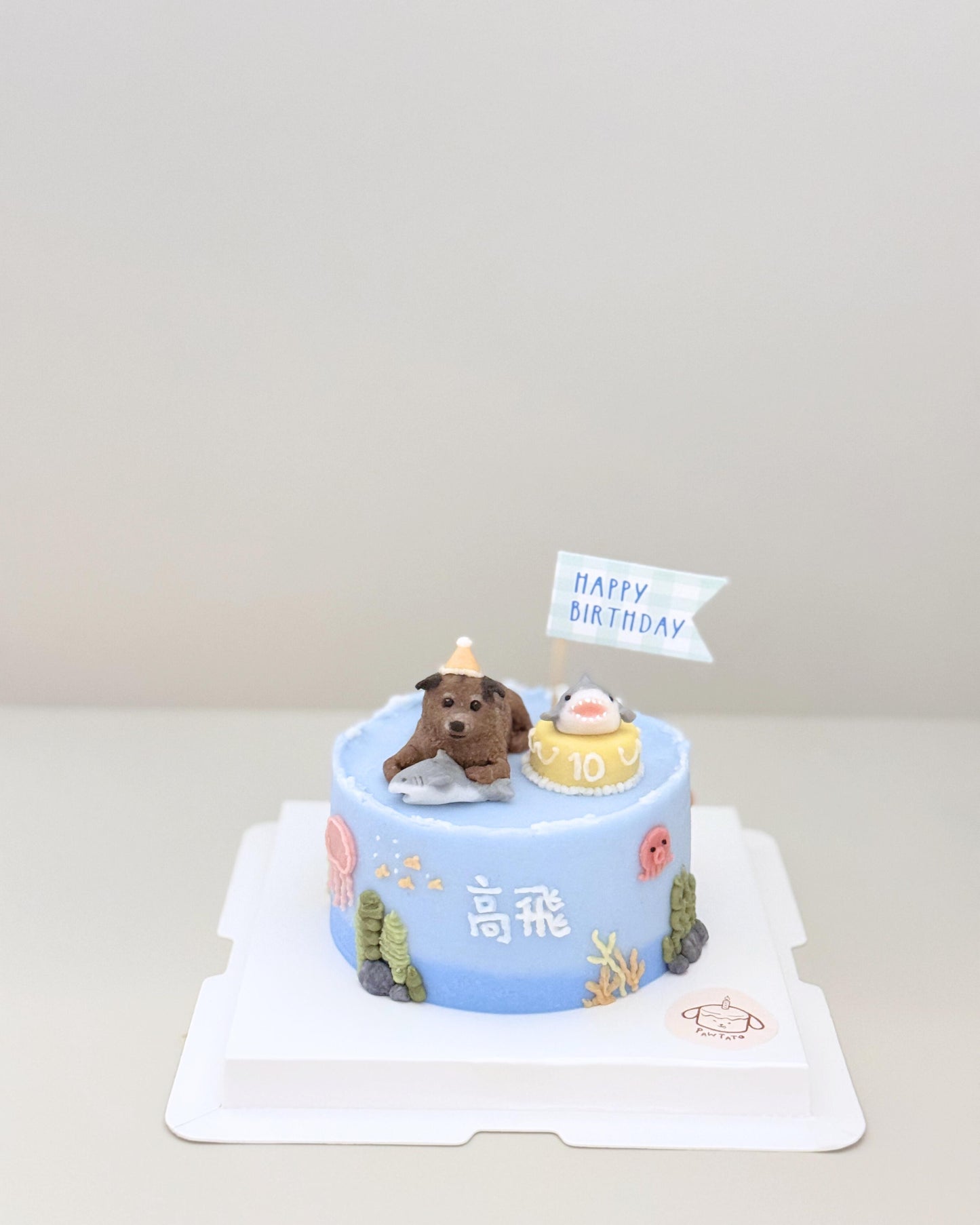 3D FULL BODY CAKE // pet cake