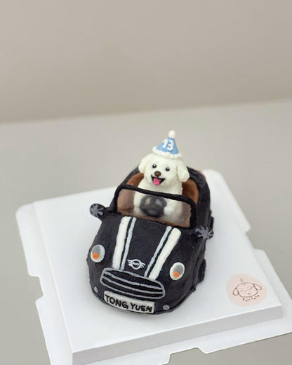 FULLY CUSTOM CAKE // pet cake