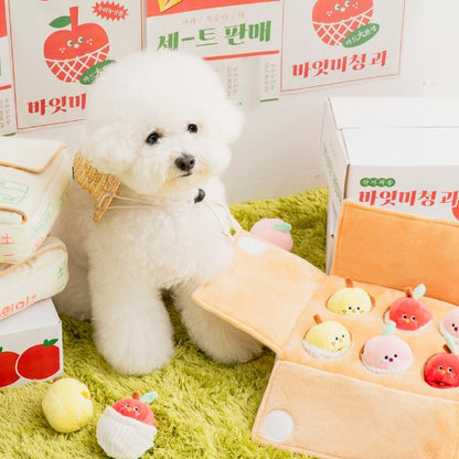MIXED FRUITS BOX // nosework toy