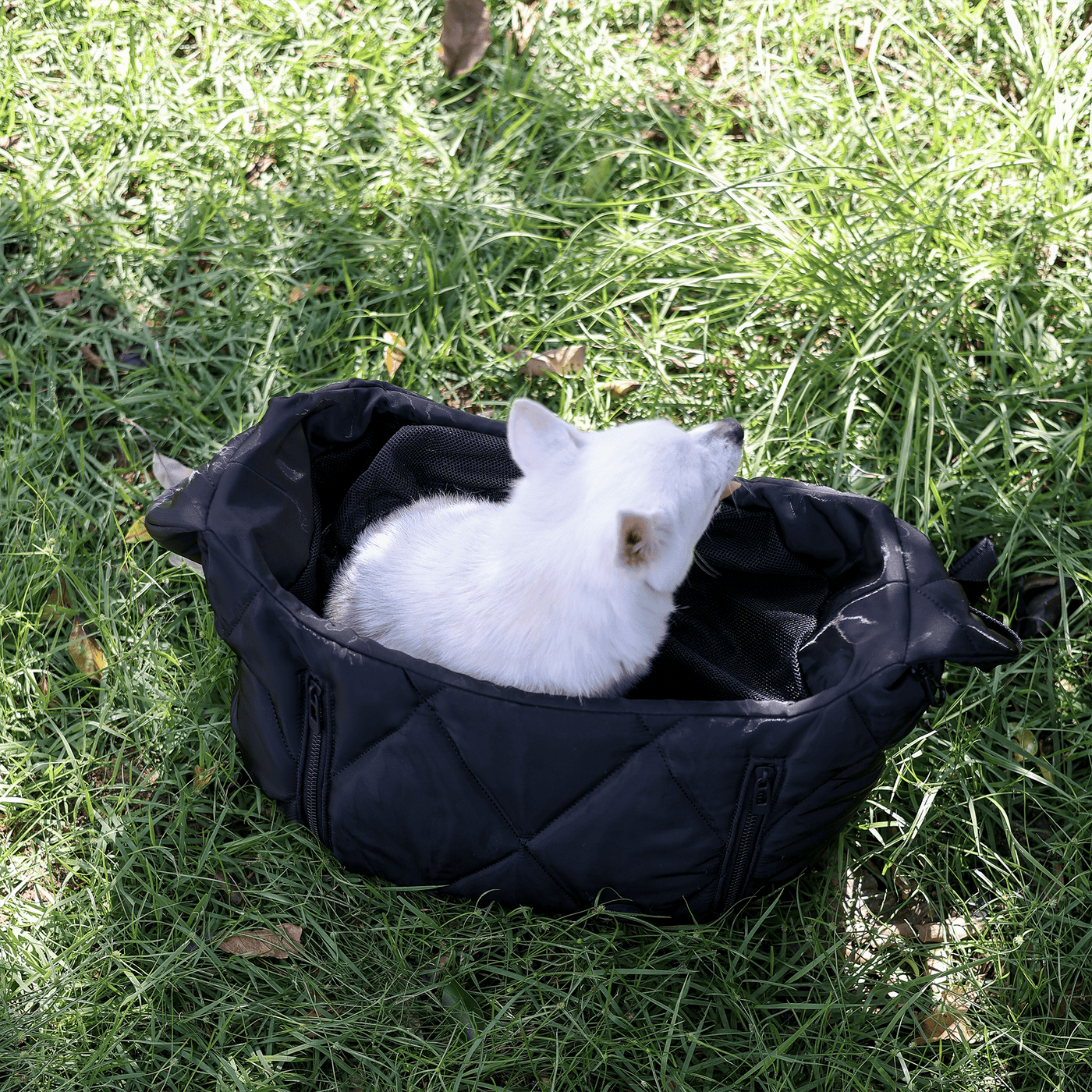 CLOUD // crossbody carrier