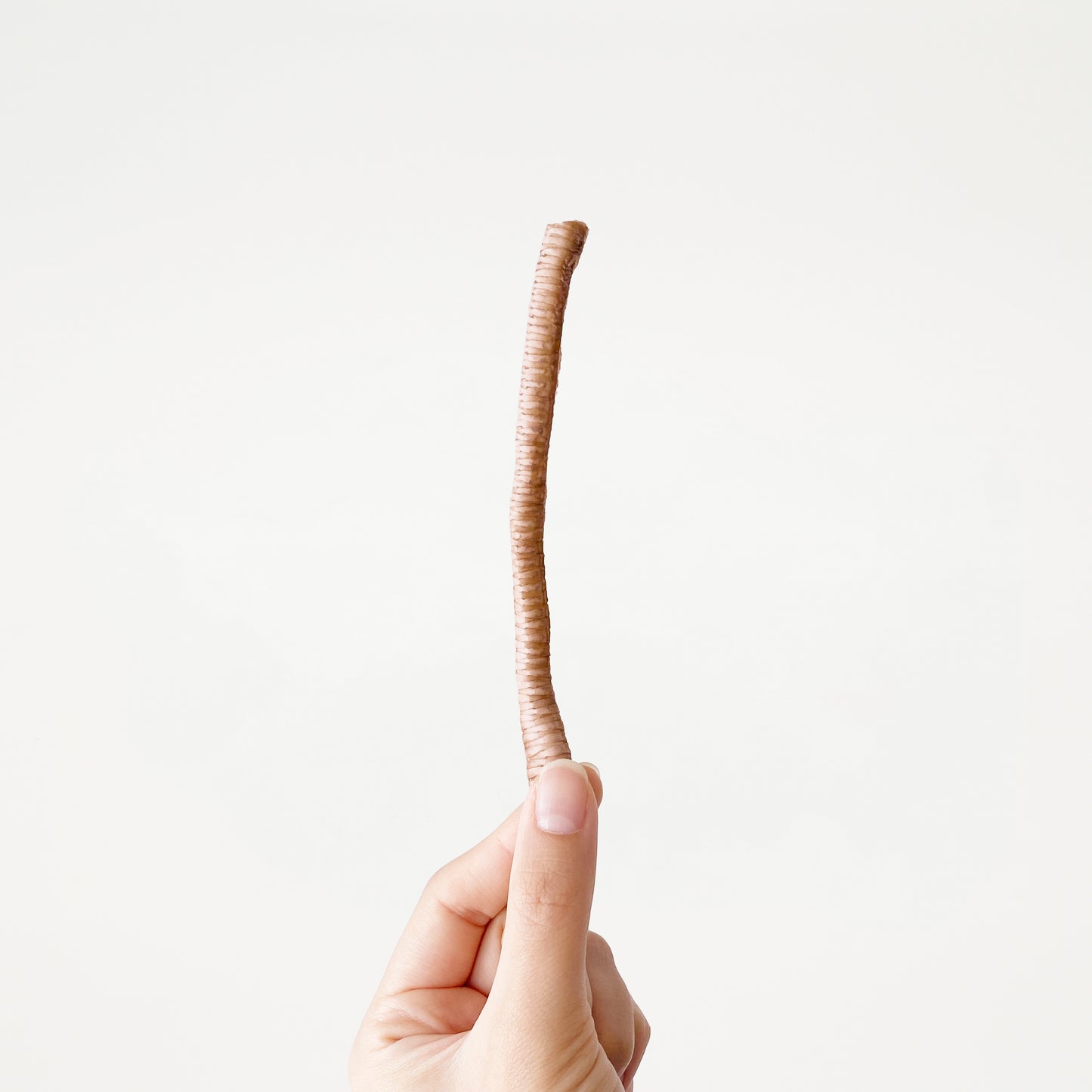 Duck Trachea (per g) //  鴨氣管 (每克)