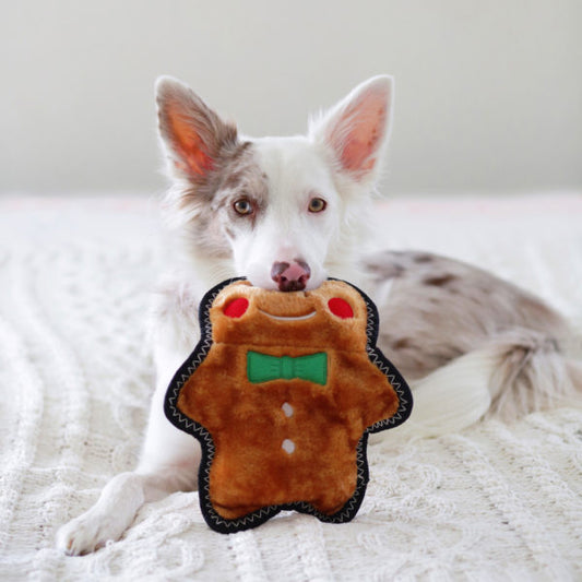 GINGERBREAD MAN // Z-Stitch® toy