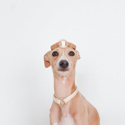 HUS // house collar