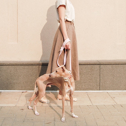 MOU // regular leash