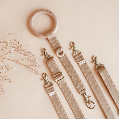 FJOL // traffic coupler leash