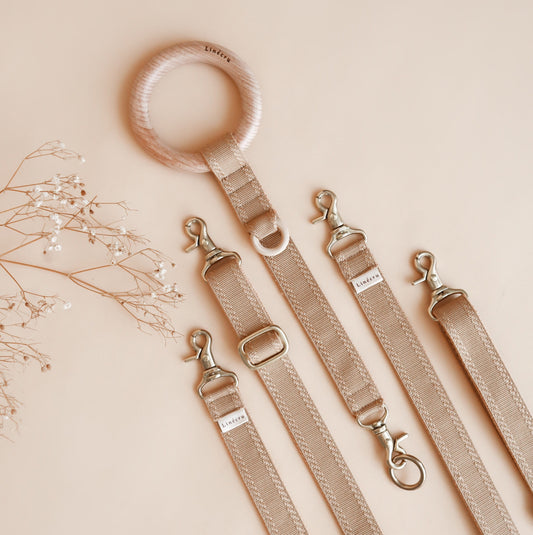 FJOL // traffic coupler leash