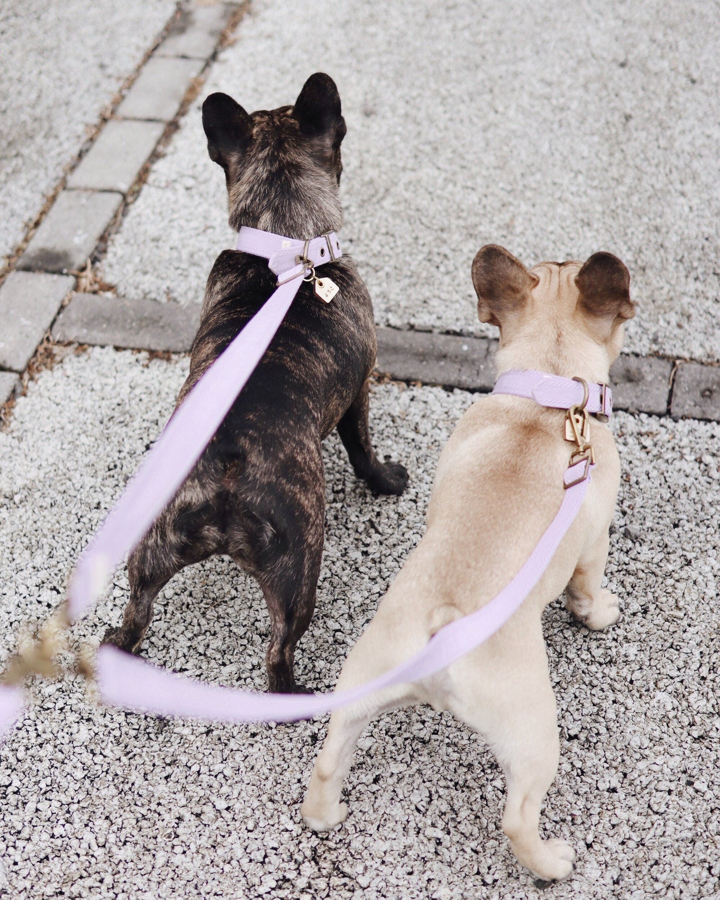 LJOS // traffic coupler leash