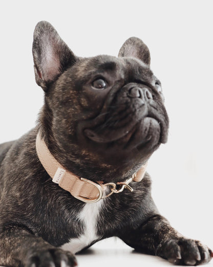 OME // exquisite collar