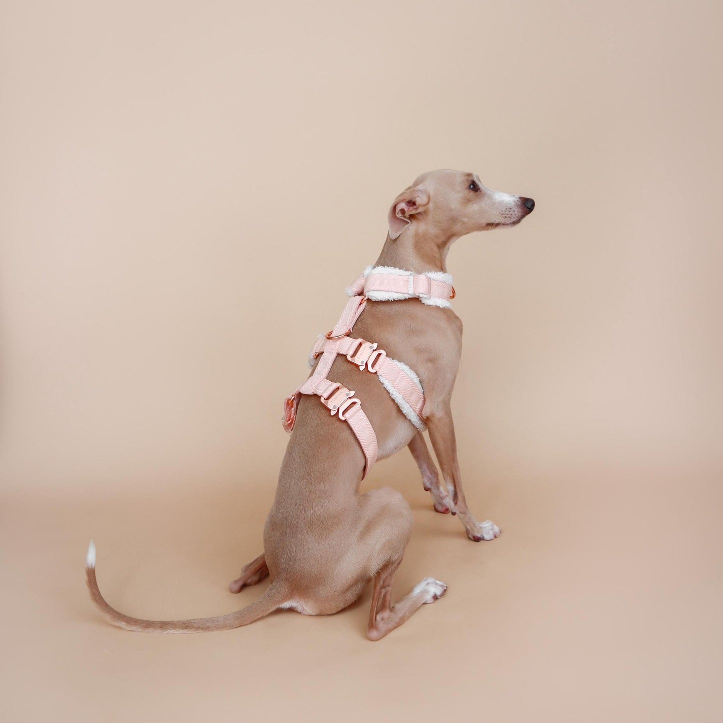 XII // fluffy escape-resistant harness