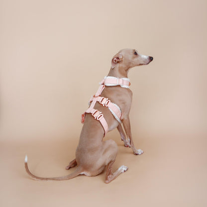XII // fluffy escape-resistant harness