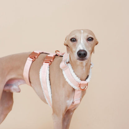 XII // fluffy escape-resistant harness