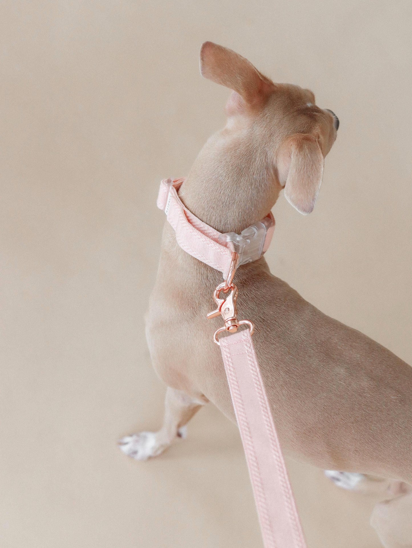 LIÉE // plain martingale collar