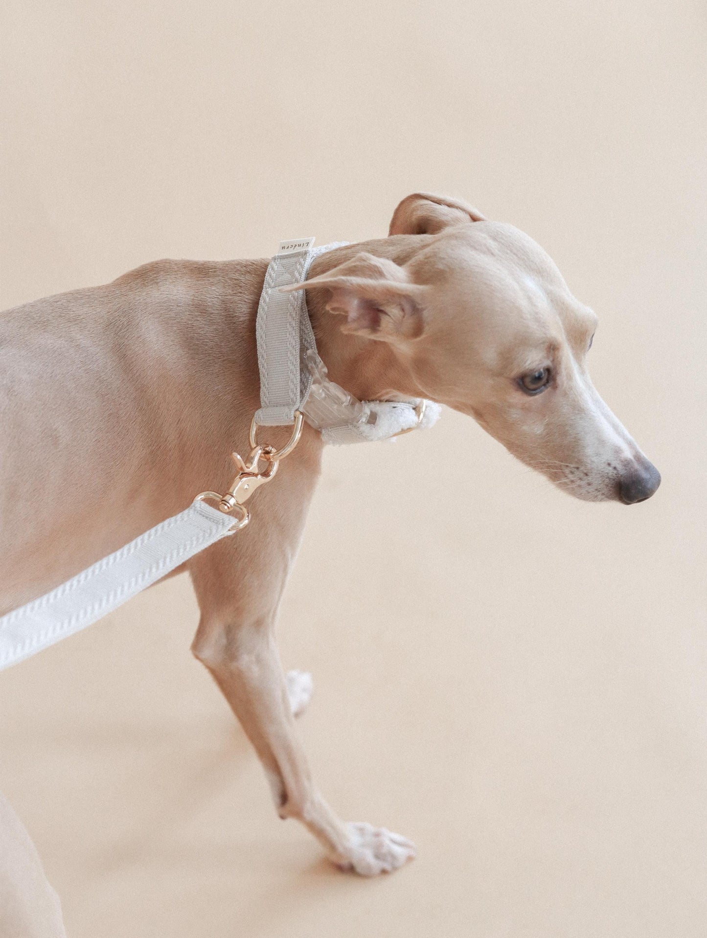 LIÉE // fluffy martingale collar