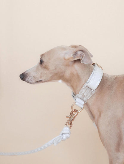 FIÏN // regular leash