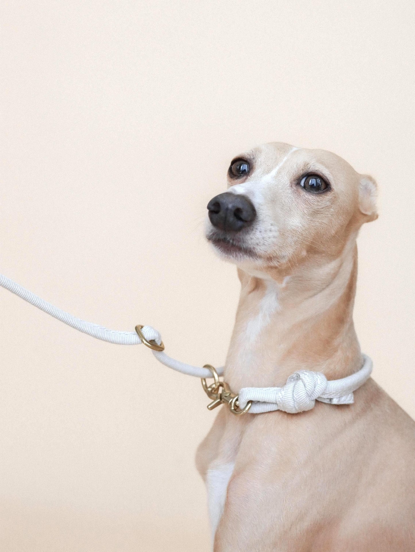 LINJE // crossbody leash