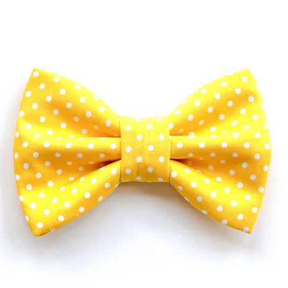 MUSTARD DOTS // bow