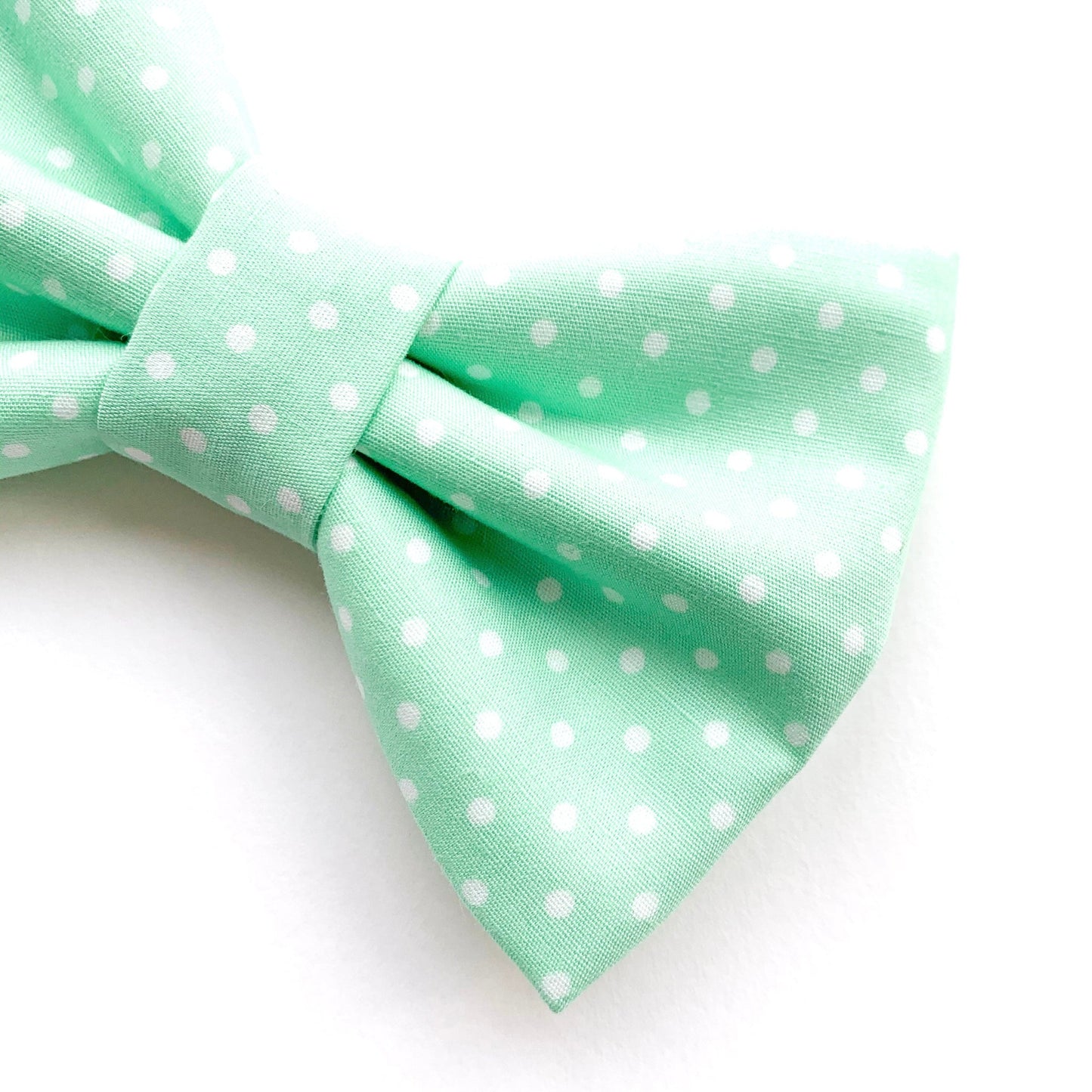 BASIL DOTS // bow